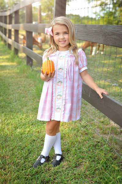 Proper Pumpkins Pink Gingham A-Line Dress with Pumpkin Embroidery