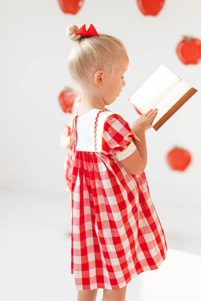 Scribble Red Gingham Bishop Collar Crayon Embroidery Dress