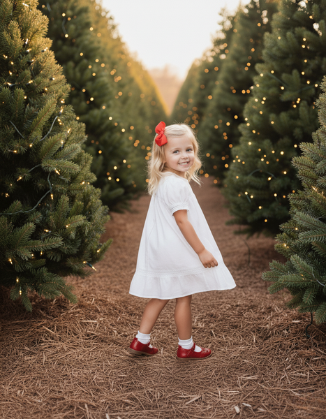 PREORDER - Pemberley Holiday Christmas Hand Embroidered White Heirloom Portrait Dress