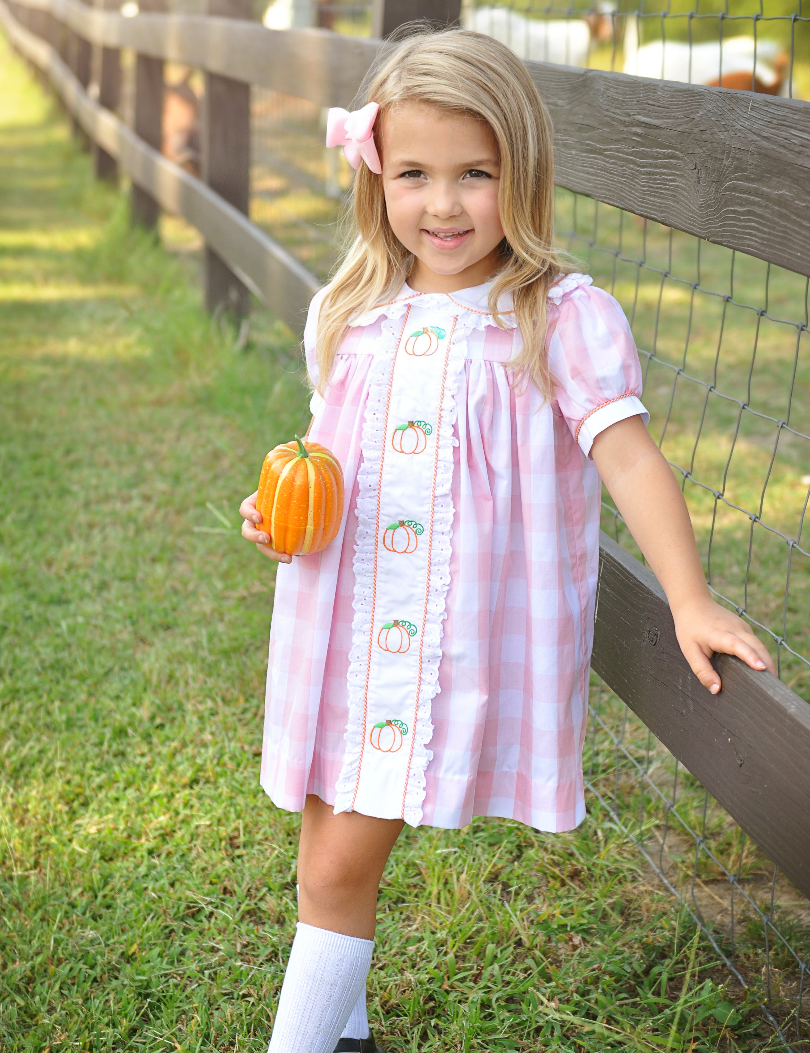 Proper Pumpkins Pink Gingham A-Line Dress with Pumpkin Embroidery