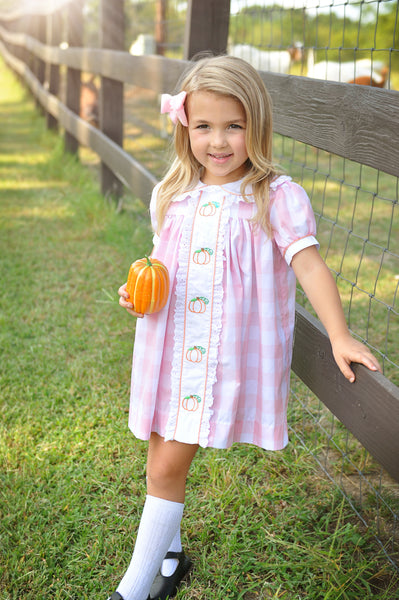 Proper Pumpkins Pink Gingham A-Line Dress with Pumpkin Embroidery