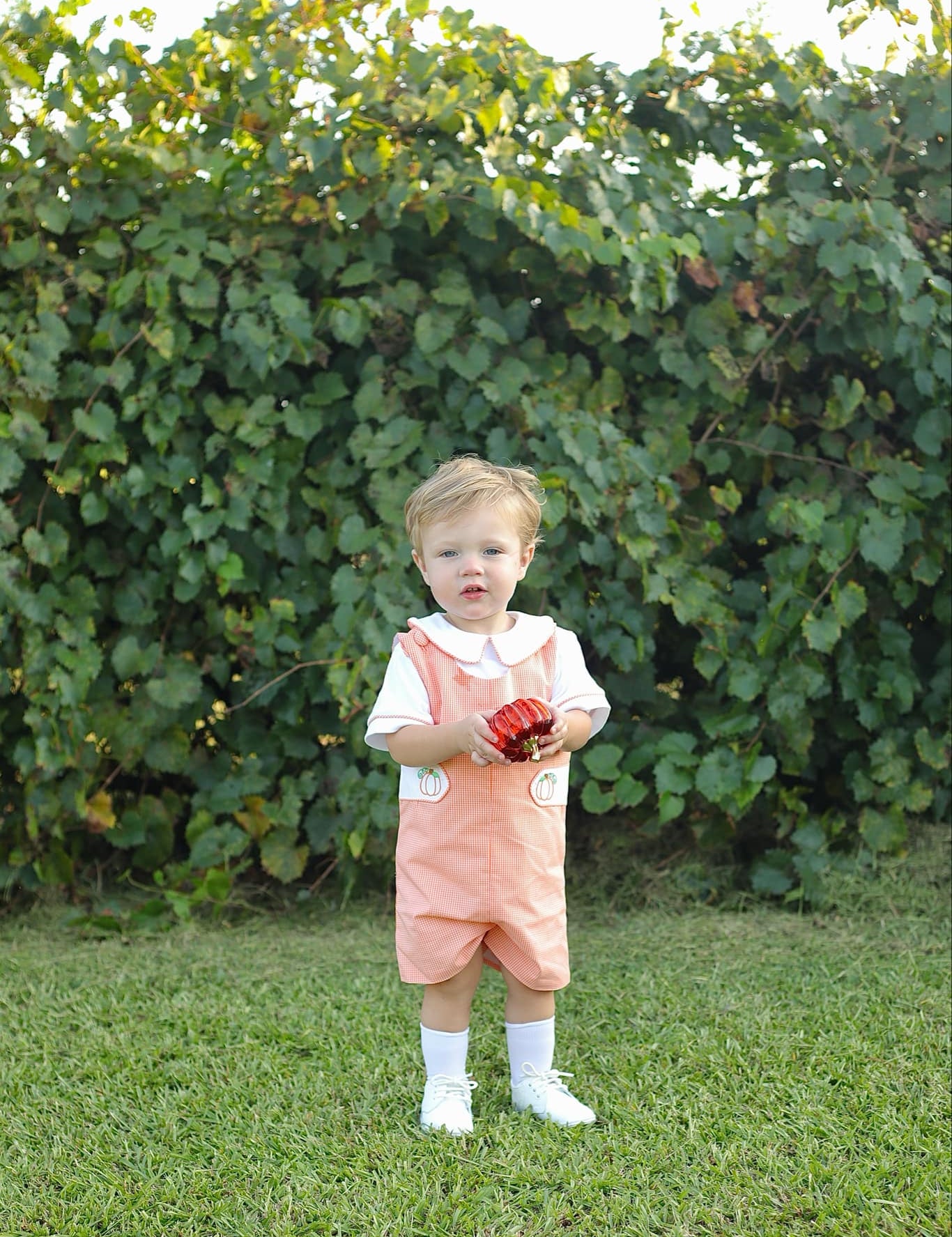 Proper Pumpkins Orange Gingham Shortall and Shirt Set with Pumpkin Embroidered Tabs
