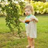 Pumpkin Harvest Boys' Tan Stripe Knit Romper with Pumpkin Wheelbarrow Applique
