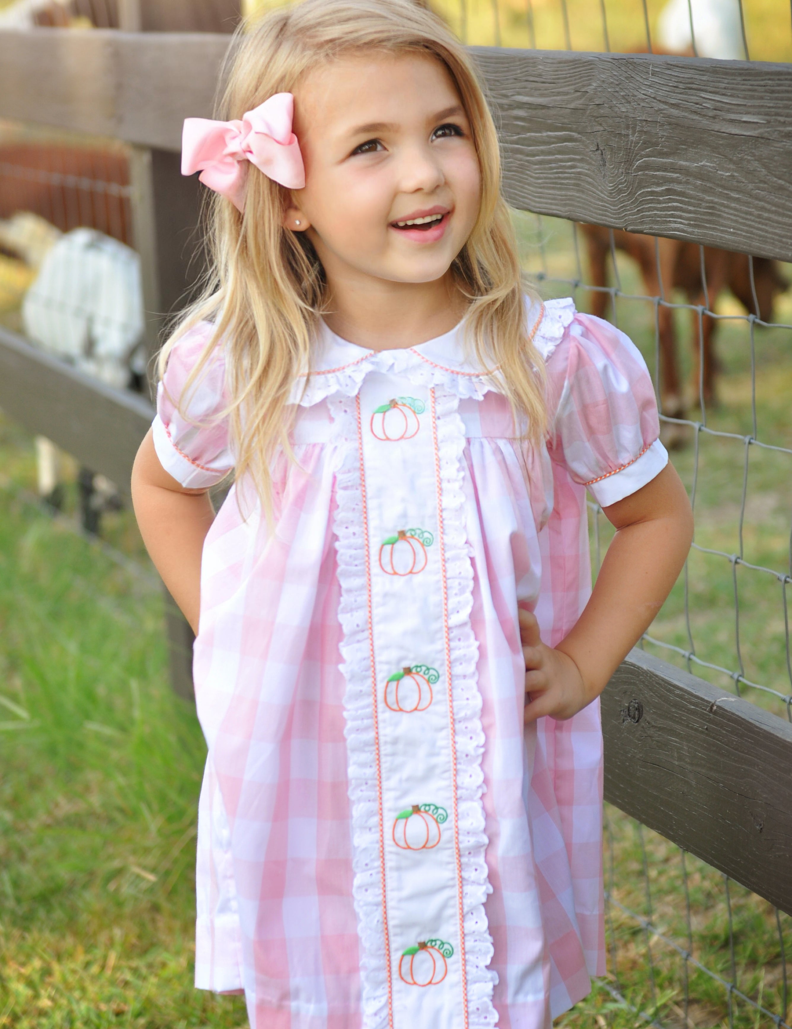 Proper Pumpkins Pink Gingham A-Line Dress with Pumpkin Embroidery