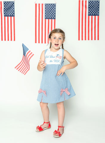 God Bless the USA Seersucker Check Embroidered Kick Pleat Dress