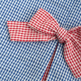 God Bless the USA Seersucker Check Embroidered Kick Pleat Dress