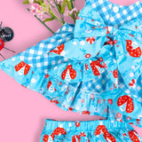 Lady Luck Lady Bug Appliquéd Swing Top & Ruffle Bloomer Set