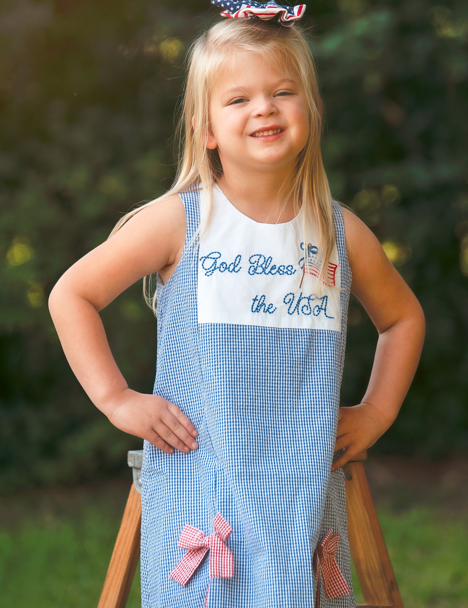 God Bless the USA Seersucker Check Embroidered Kick Pleat Dress