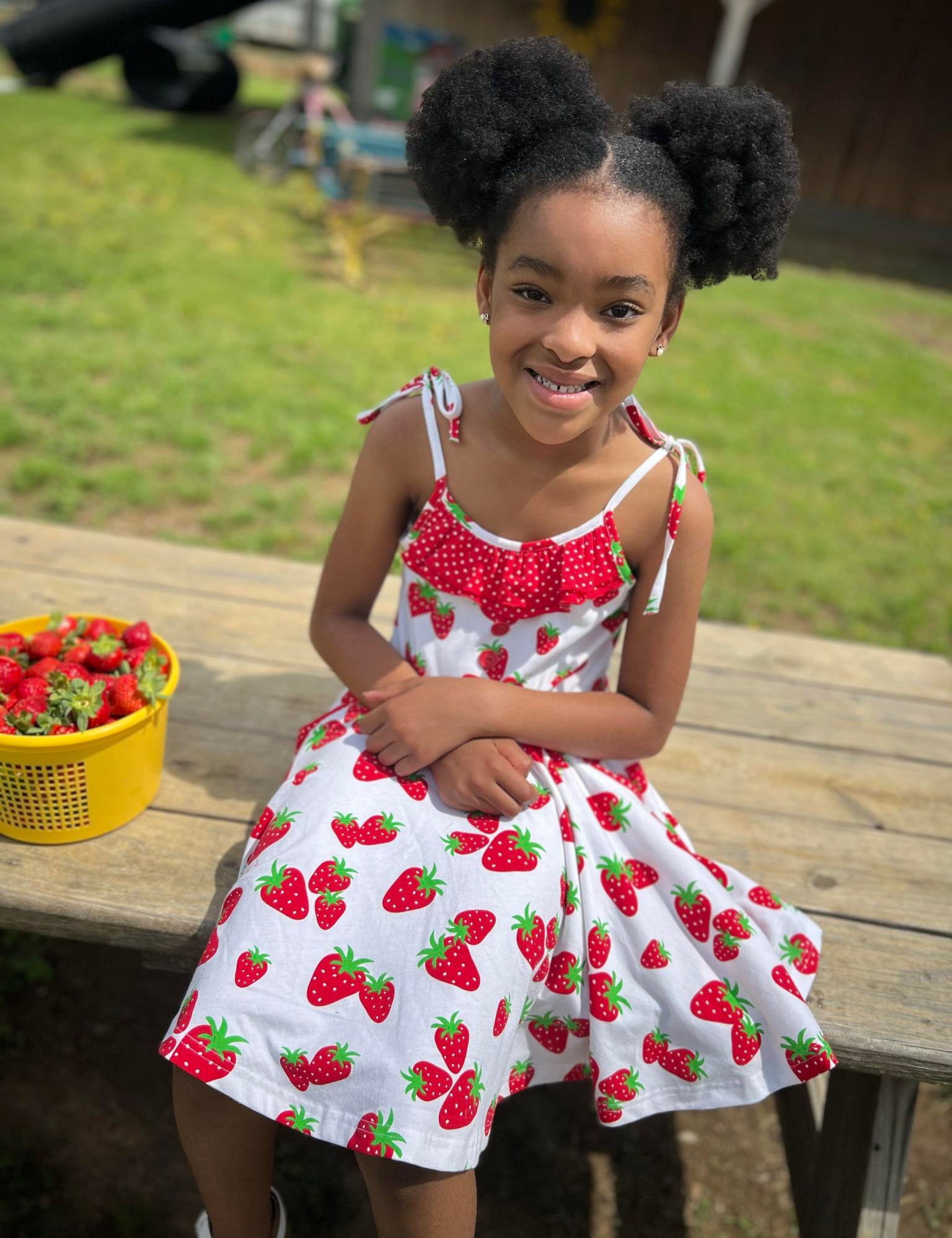 Knit Strawberry Print Tie Shoulder Dress