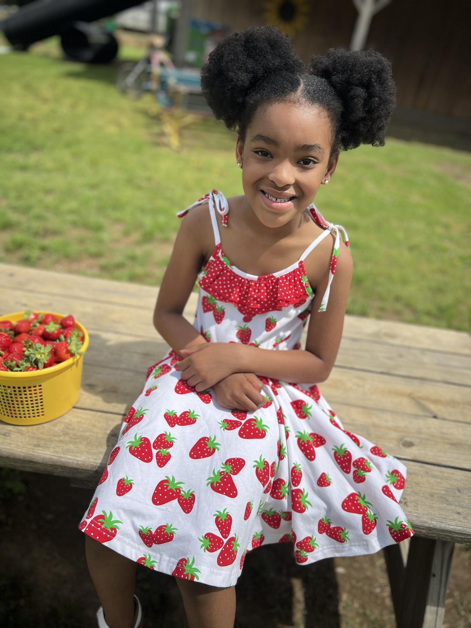 Knit Strawberry Print Tie Shoulder Dress 14/16