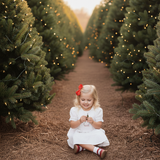 Pemberley Holiday Christmas Hand Embroidered White Heirloom Portrait Dress